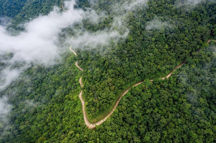 BACH MA MOUNTAIN, HUE: AN ECOTOURISM DESTINATION NOT TO MISS IN&nbsp;2026