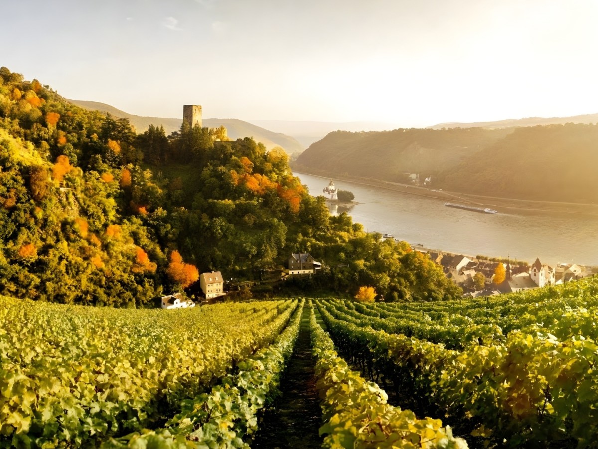 Wine Tour in Rheinland-Pfalz 2026 invites Vietnamese participation in international trade and cultural exchange 