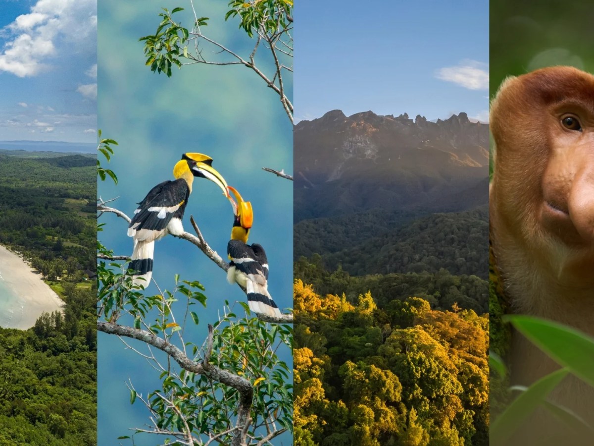 Club Med Borneo opens reservations for its highly anticipated sun-drenched escape in Kota Kinabalu,&nbsp;Malaysia