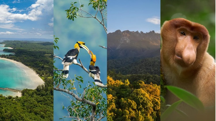 Club Med Borneo opens reservations for its highly anticipated sun-drenched escape in Kota Kinabalu,&nbsp;Malaysia