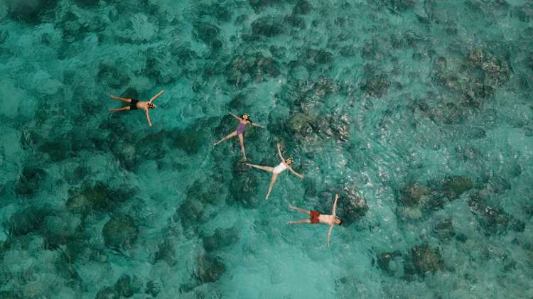 Club Med celebrates strong performance in 2025 and primed for 2026&nbsp;expansion